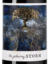Вино Gathering Storm, Felix Solis, 2023