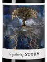 Вино Gathering Storm, Felix Solis, 2023