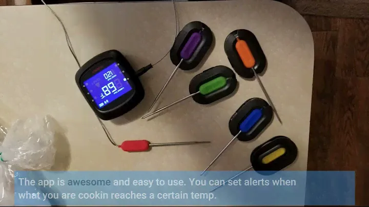 Tenergy Solis Digital Meat Thermometer Review - Amazon Best Products